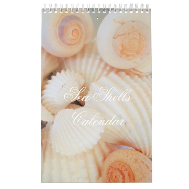 Calendário de conchas marítimas romântico exótico (Capa)