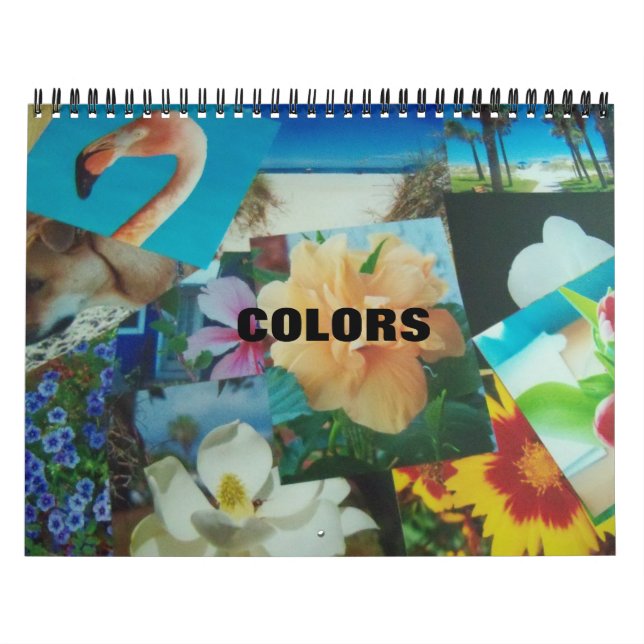 Calendário de Cores (Capa)