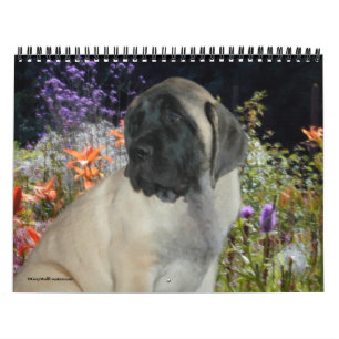 Calendário de Cuppies Mastiff