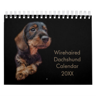 Calendário de Dachshund com Cabeção Wireada