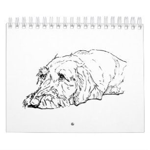 Calendário de Dachshund de Pelo Cabeludo 2027