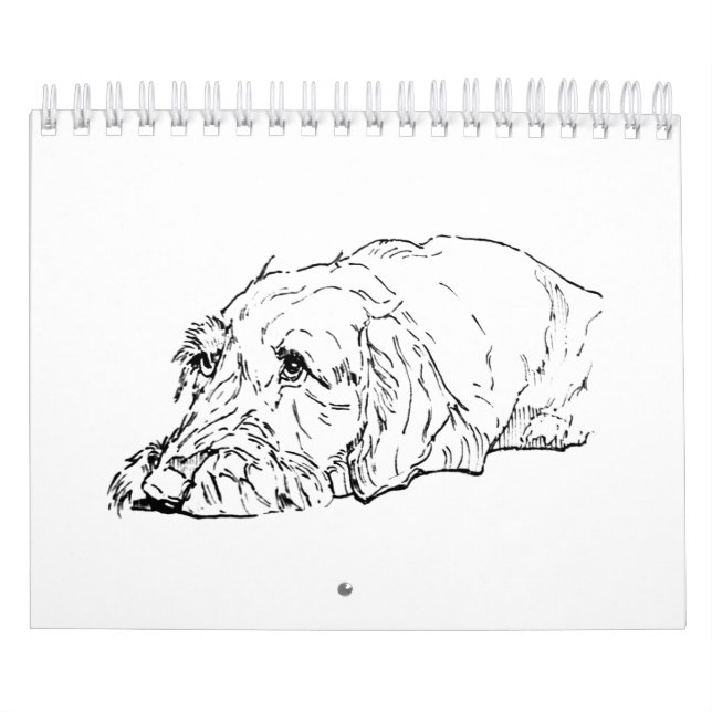 Calendário de Dachshund de Pelo Cabeludo 2027 (Capa)