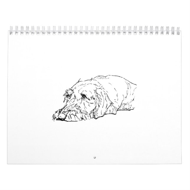 Calendário de Dachshund de Pelo Cabeludo 2027 (Capa)