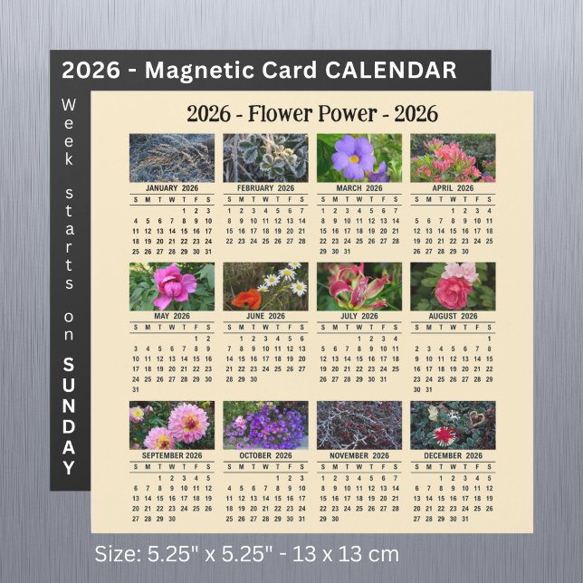 Calendário de damasco magnético de Flor Personaliz (Criador carregado)