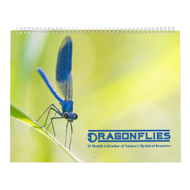 Calendário de Dragonflies (Capa)