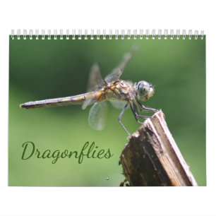 Calendário de Dragonflies