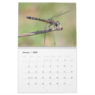 Calendário de Dragonflies