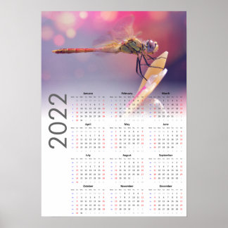 Calendário de Dragonfly 2022 Poster - Início de do