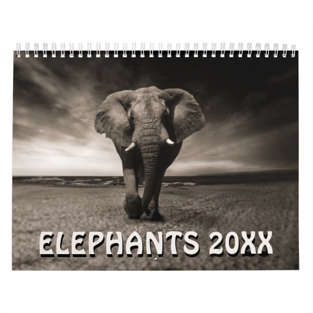 Calendário de Elefantes Selvagens (Capa)