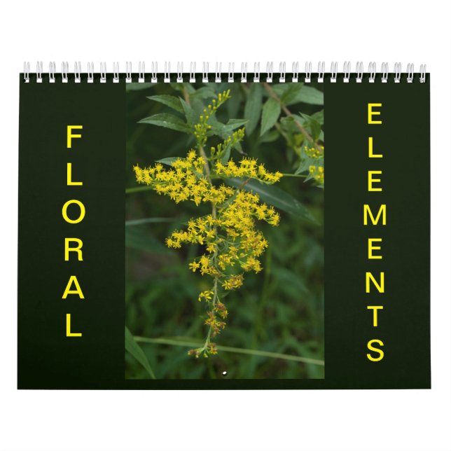 Calendário de Elementos Florais (Capa)