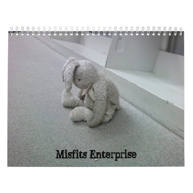 Calendário de Erros (Capa)