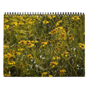 Calendário de Escrituras de Flor Selvagem