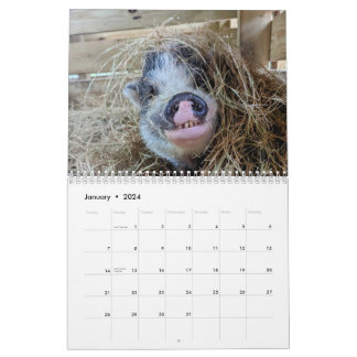 Calendário de Fazenda de Paz