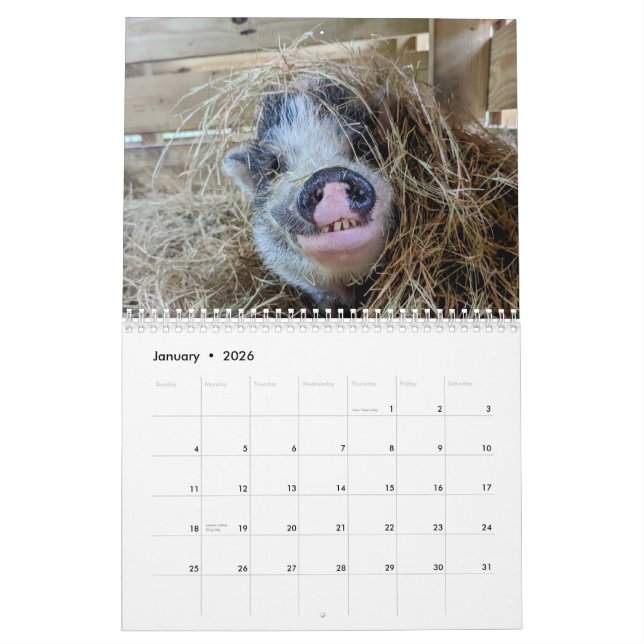 Calendário de Fazenda de Paz (Jan 2026)
