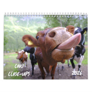Calendário de Fechamento de Vaca 2026
