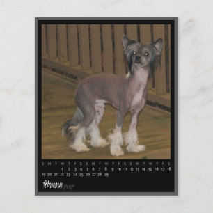calendário de fevereiro de 2012