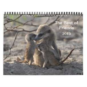Calendário de FKMP Meerkats 2013