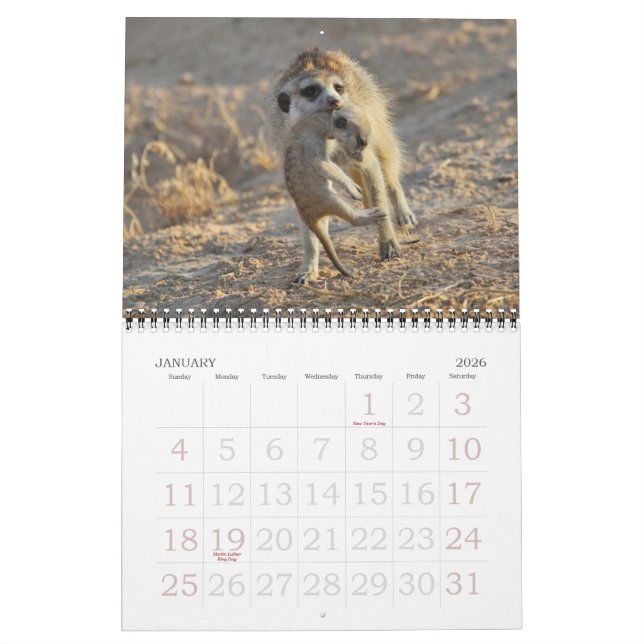 Calendário de FKMP Meerkats 2013 (Jan 2026)