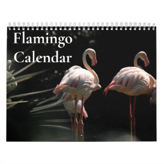 Calendário de Flamingo 2027