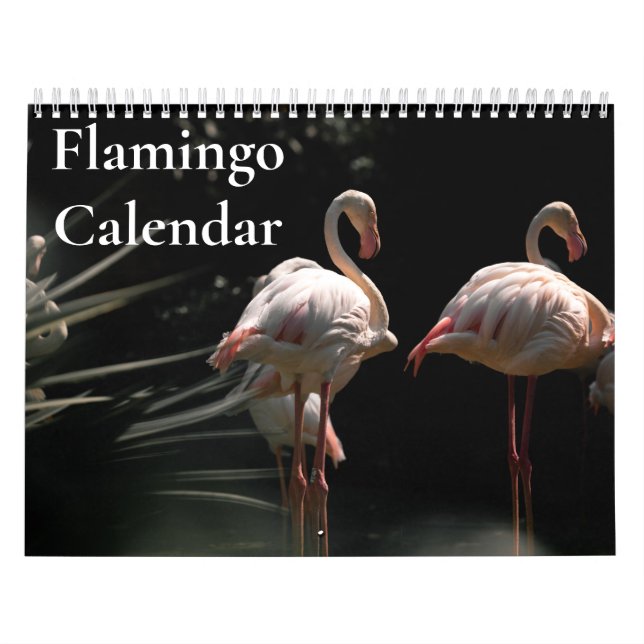 Calendário de Flamingo 2027 (Capa)