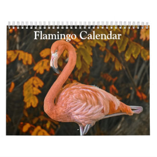 Calendário de Flamingo 2027