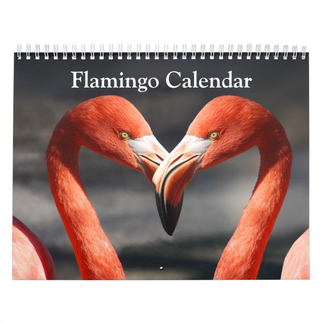 Calendário de Flamingo 2027 (Capa)
