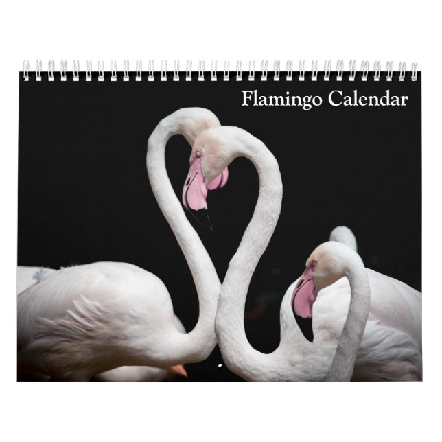 Calendário de Flamingo 2027 (Capa)