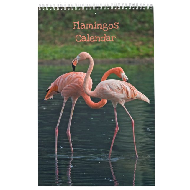 Calendário de Flamingos (Capa)