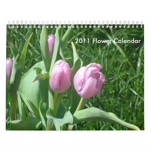 Calendário de Flor 2011 (Capa)