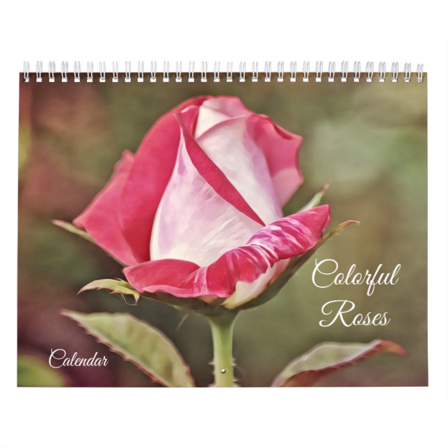 Calendário de Flor de Rosas Coloridos (Capa)