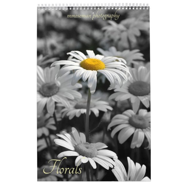 Calendário de Florais (Capa)