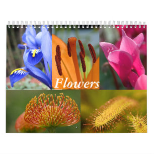 Calendário de Flores