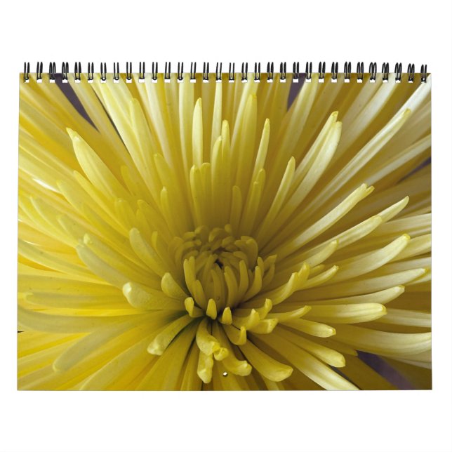 Calendário de Flores (Capa)