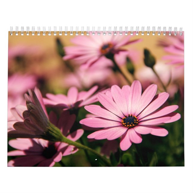 Calendário de flores (Capa)