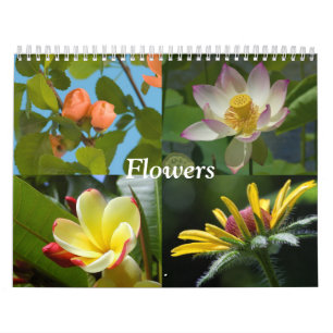 Calendário de Flores