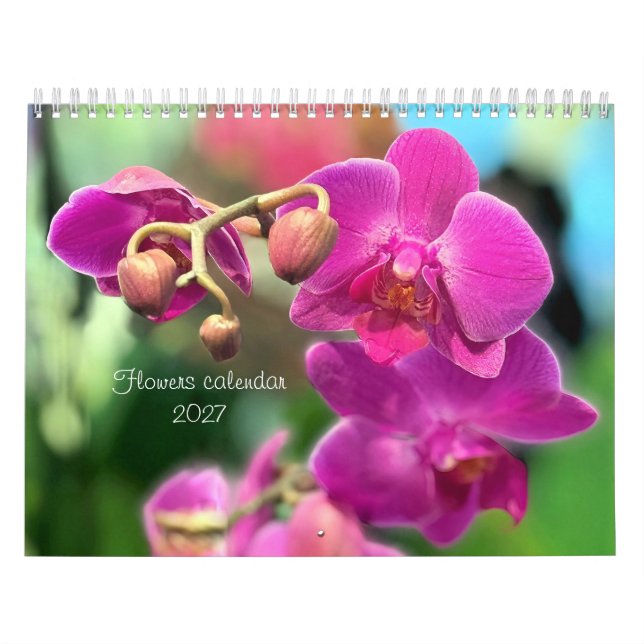 Calendário de flores  (Capa)