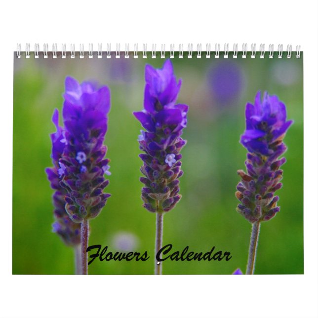 calendário de flores 2009 (Capa)