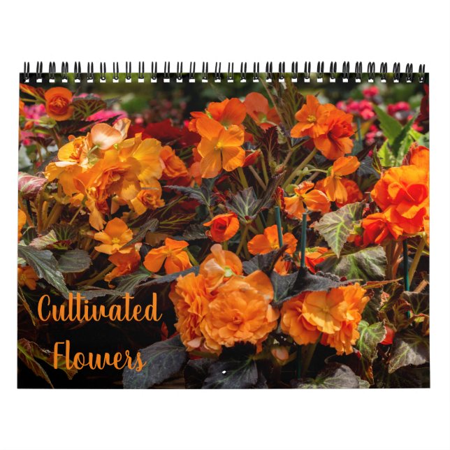 Calendário de Flores Cultivadas (Capa)