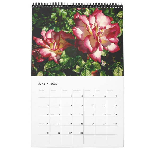 Calendário de Flores de Aquarela (Jun 2027)