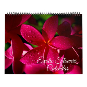 Calendário de Flores Exóticas de Grande Tamanho