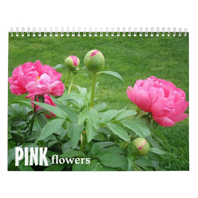 Calendário de Flores Rosa (Capa)