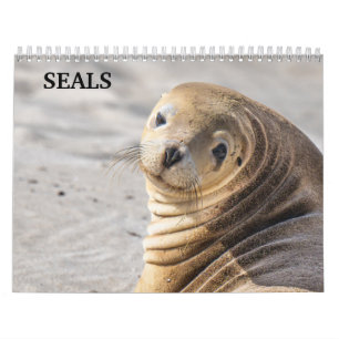 Calendário de Focas Leões-Marinhos 2027