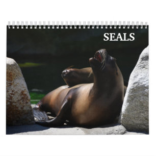 Calendário de Focas Leões-Marinhos 2027