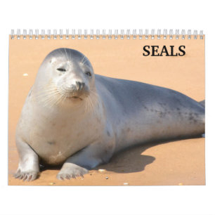 Calendário de Focas Leões-Marinhos 2027