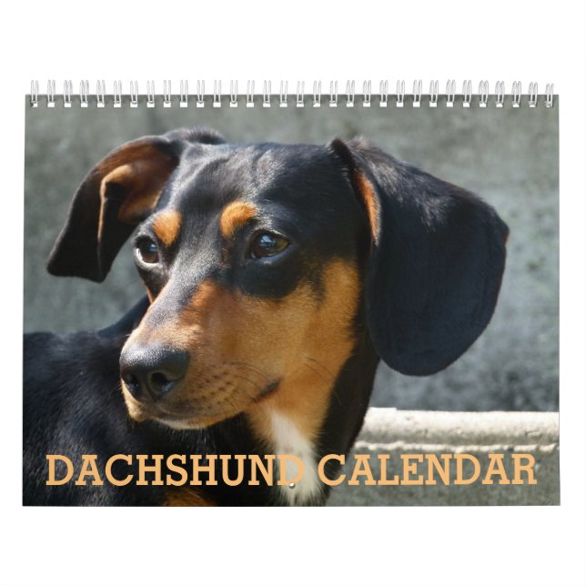 Calendário de Foto Dachshund (Capa)