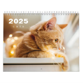 Calendário de Foto Moderno de 2025 Cats