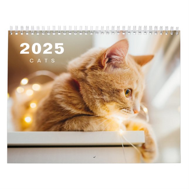 Calendário de Foto Moderno de 2025 Cats (Capa)