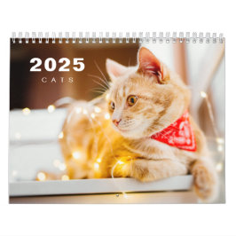 Calendário de Foto Moderno de 2025 Cats