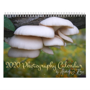 Calendário de Fotografia 2020