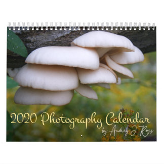 Calendário de Fotografia 2020